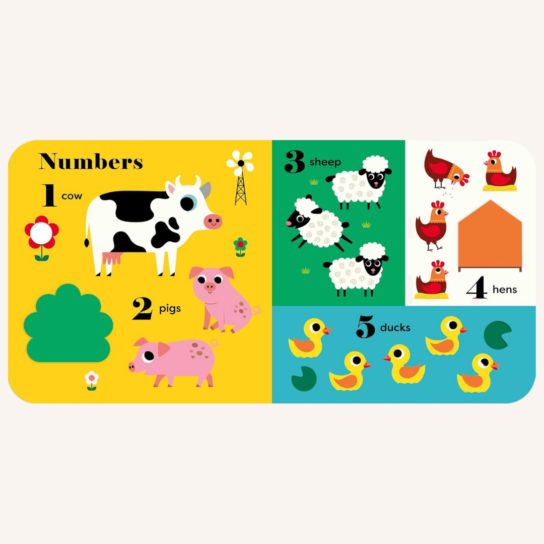 My BIG Playbook: Farm