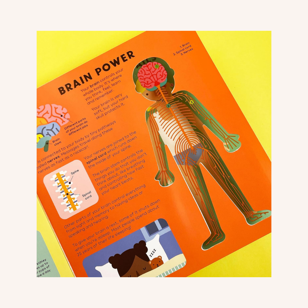 The Boddy Book