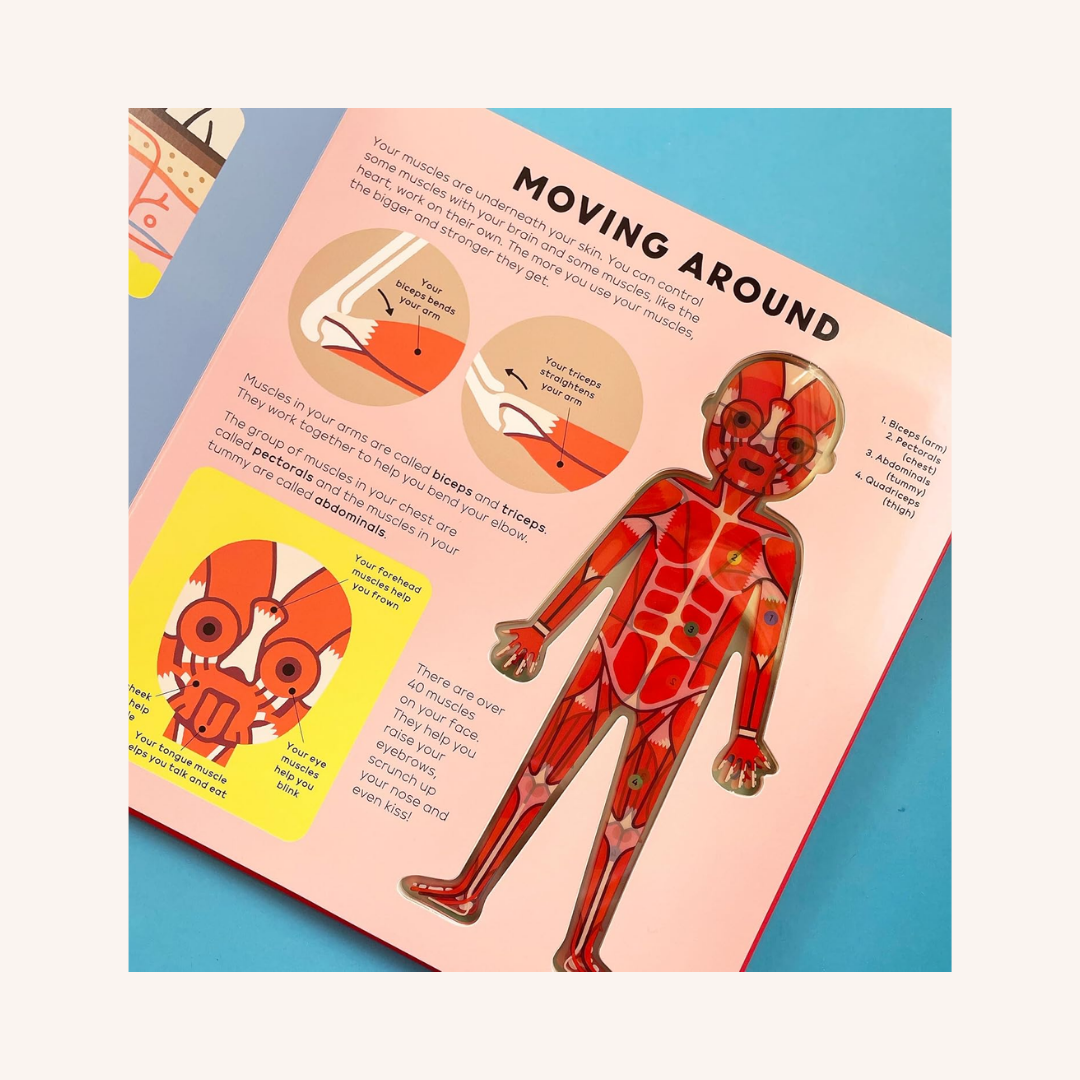 The Boddy Book