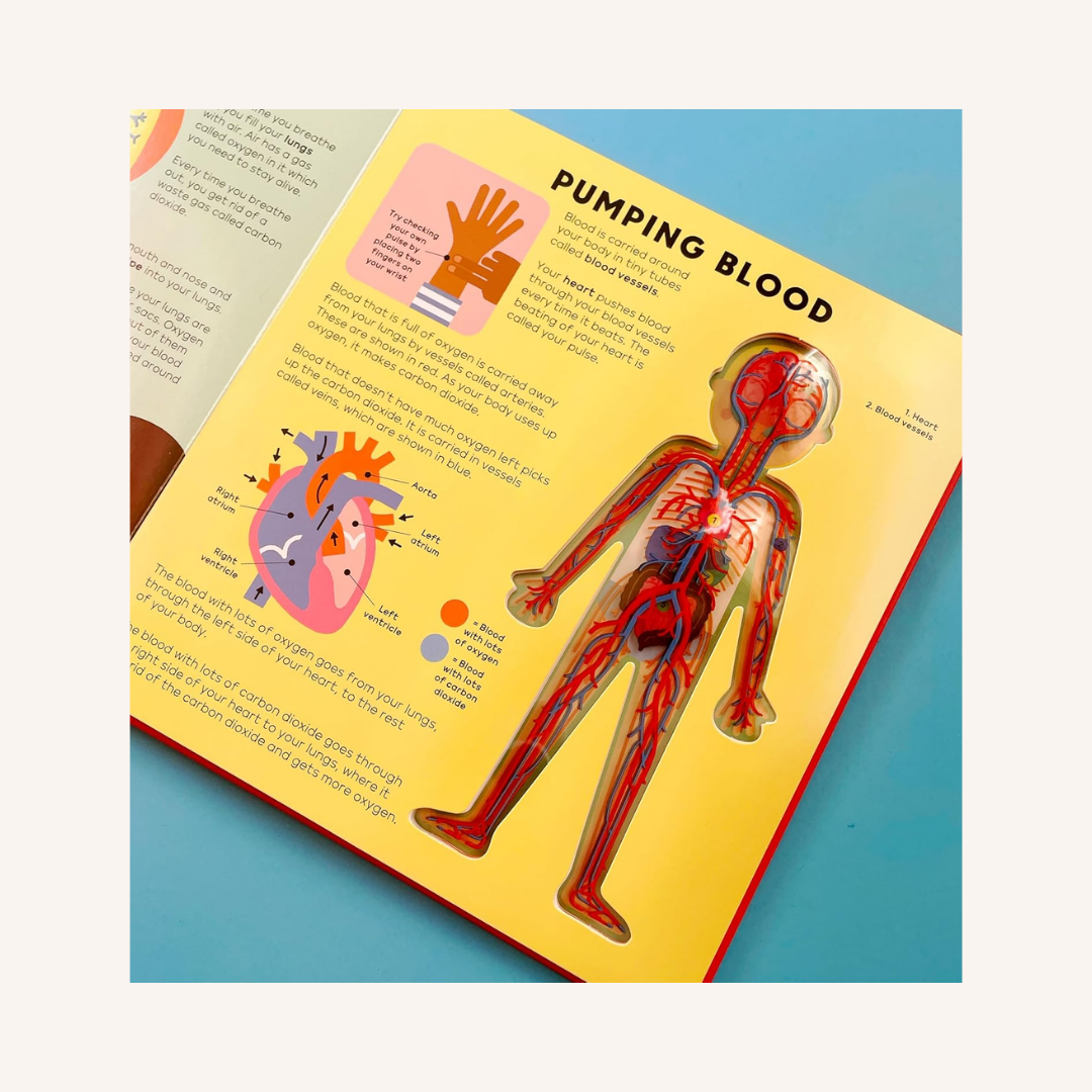 The Boddy Book