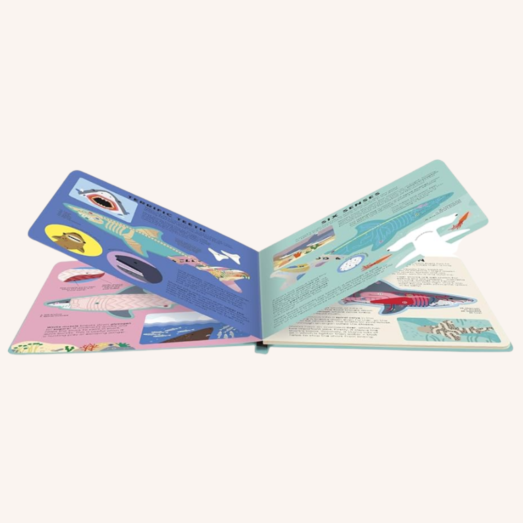 The shark book