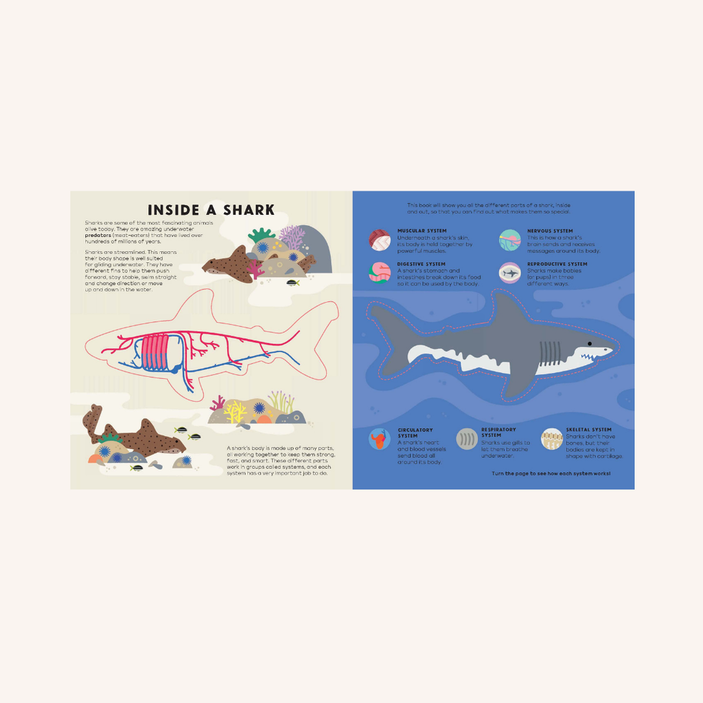 The shark book