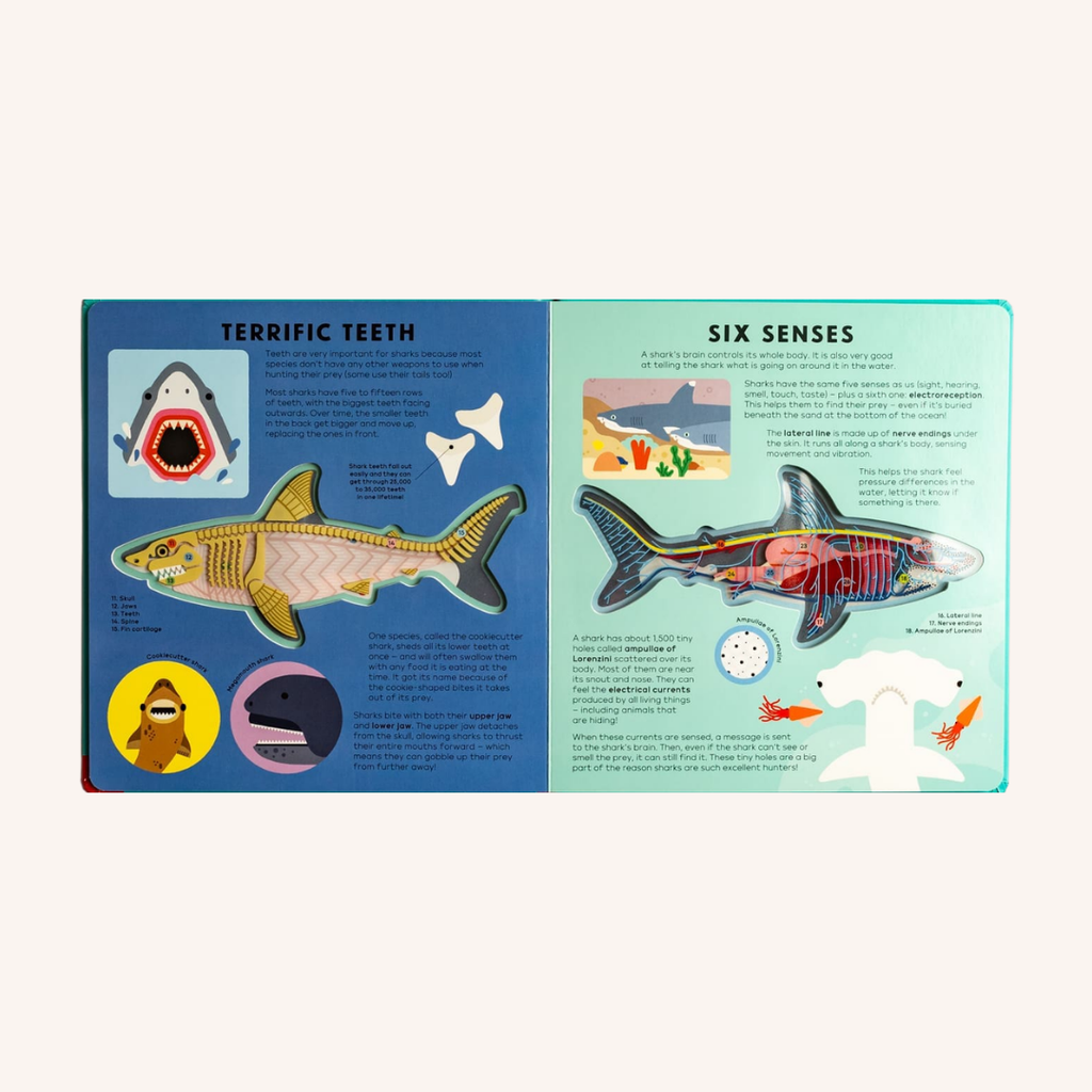 The shark book