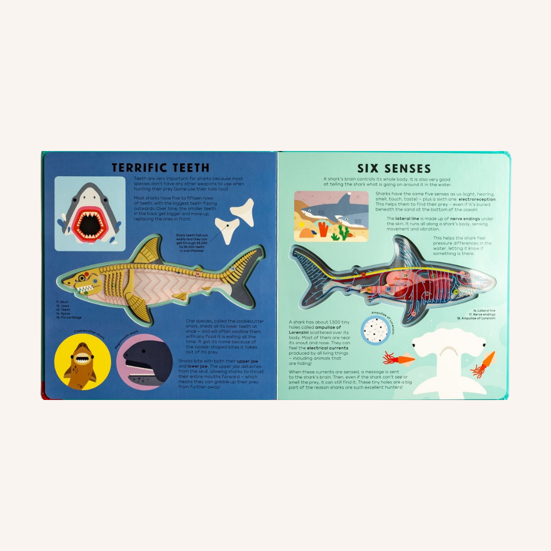 The shark book