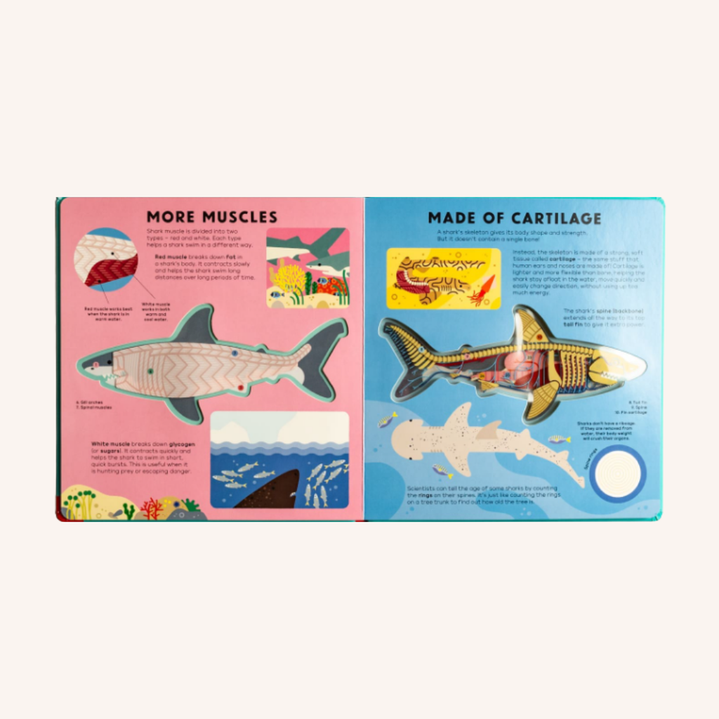 The shark book