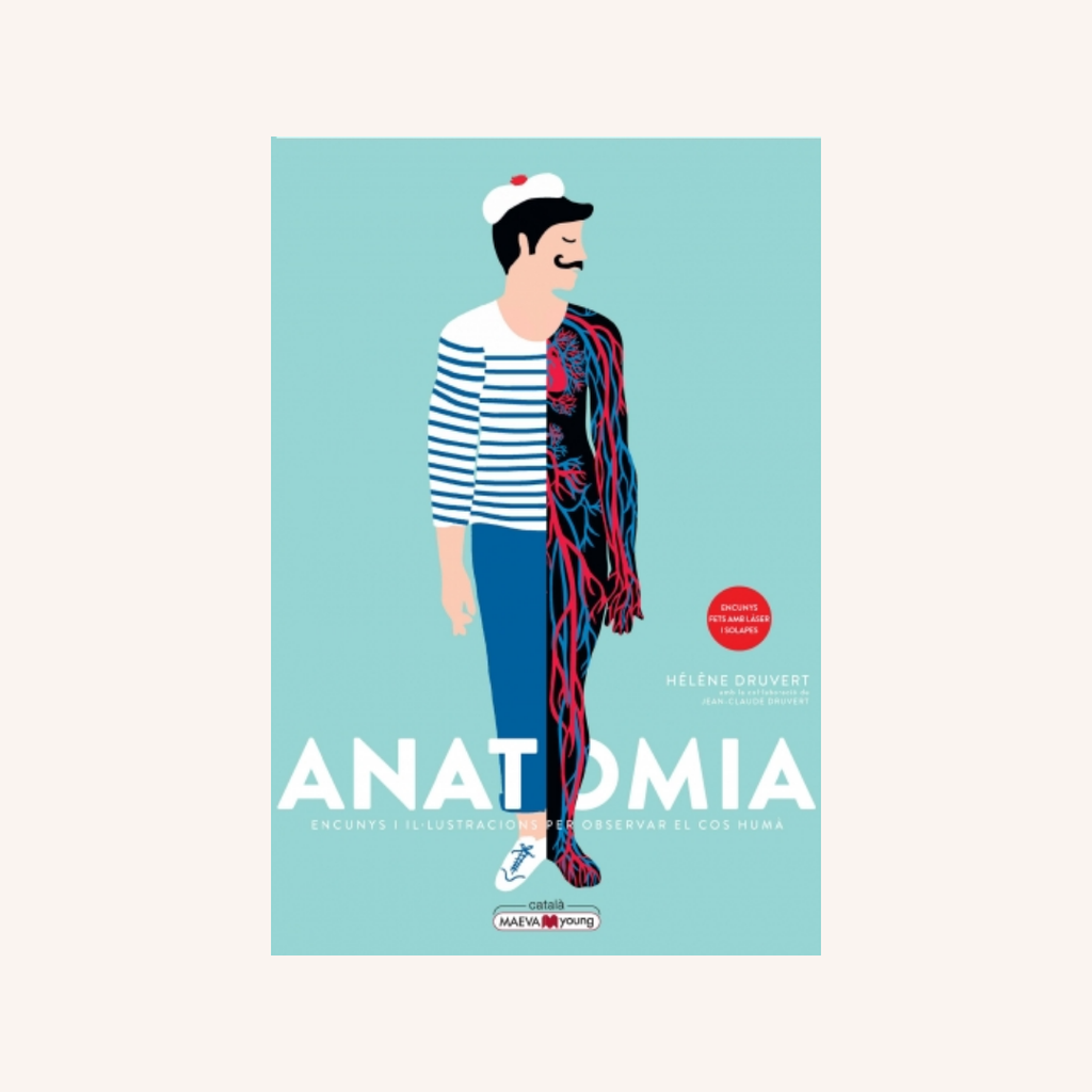 Anatomía: Troquelados e ilustraciones