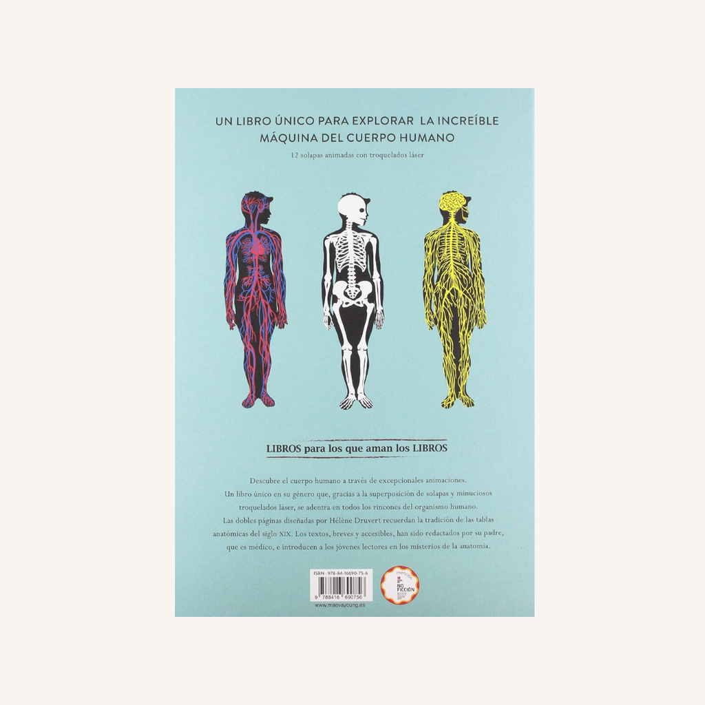 Anatomía: Troquelados e ilustraciones
